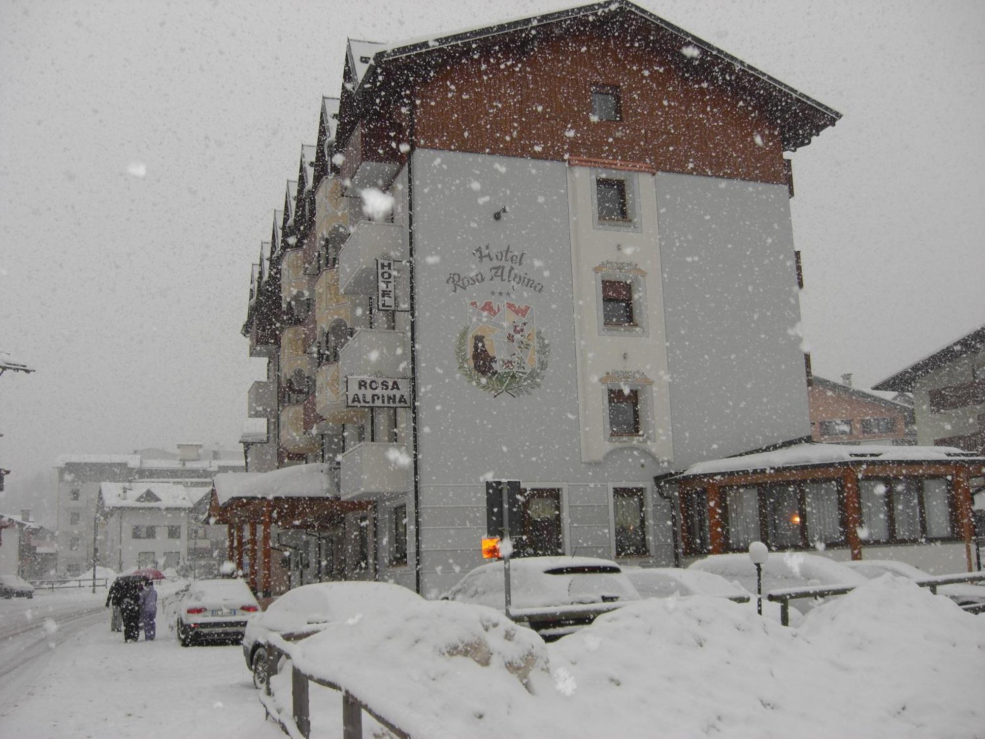 Hotel Rosa Alpina Andalo Eksteriør bilde